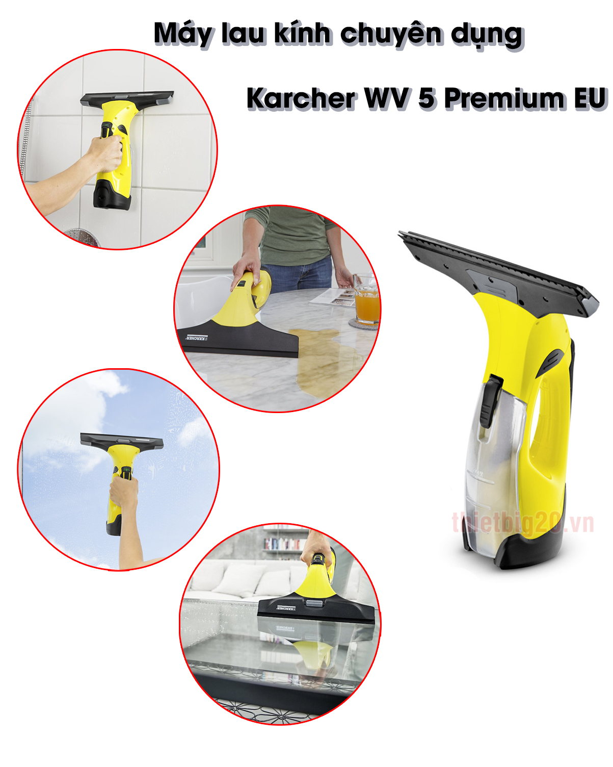 Máy lau kính chuyên dụng Karcher WV 5 Premium EU