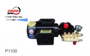 Máy rửa xe bán chuyên nghiệp Projet P1100