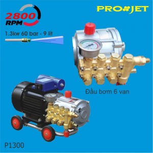 Máy rửa xe bán chuyên  nghiệp Projet P1300