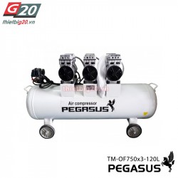 Máy hơi không dầu không ồn Pegasus 3HP, 120L, 220v